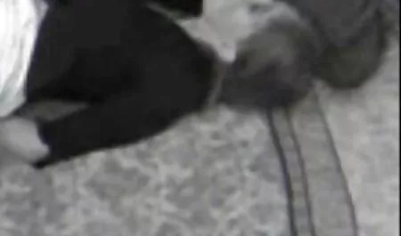 زیبایی ساده در کانال فیلم های پورن تلگرام فیلم بزرگسالان