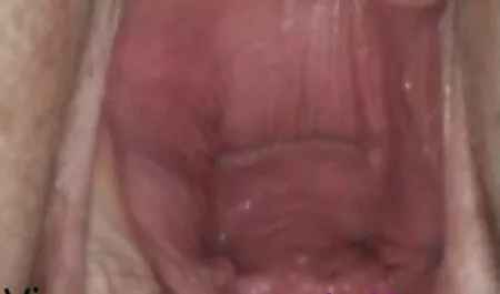 بدنسازی, معلم, برای یک همکار کانال های فیلم سکسی تلگرام با ساقه تازه
