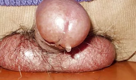 تمایل کامل سیاه بوسه یک كانال گيف سكسي زن مسن تر